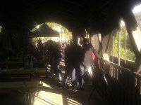 IMAG0437